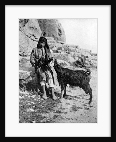 Arab boy and goat, Middle East by Donald McLeish