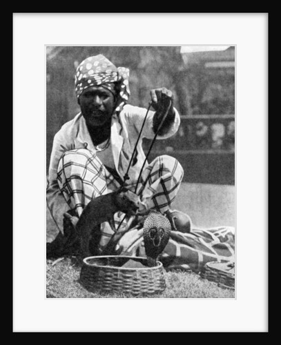 Indian snake charmer with mongoose and cobra by Fox