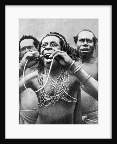 Swallowing canes in a ceremonial ritual, New Guinea by Wide World Photos