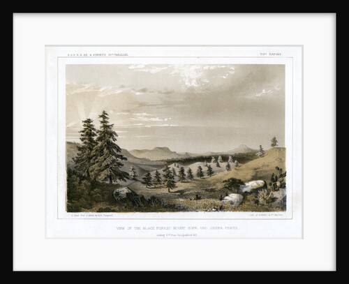 The Black Forest Mount Hope and Sierra Prieta, USA by E Stout