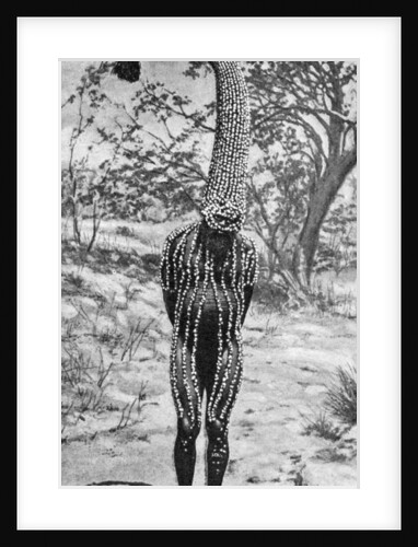 An emu man performing the sacred totem of his group, Australia by Spencer and Gillen
