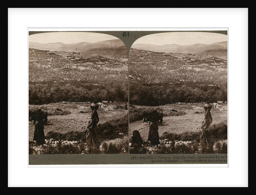 The Hill of Samaria, from the south, surrounded by its fig and olive groves, Palestine by Underwood & Underwood