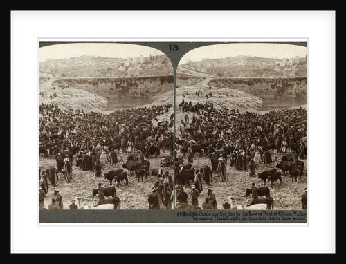 Cattle market day, in the lower pool of Gihon, Valley of Hinnom, Jerusalem, Palestine by Underwood & Underwood