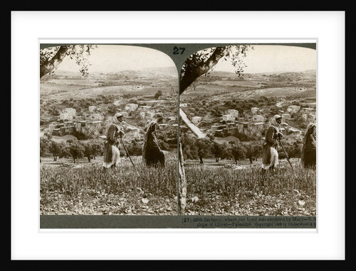 Bethany, as seen from the eastern slope of the Mount of Olives, Palestine by Underwood & Underwood