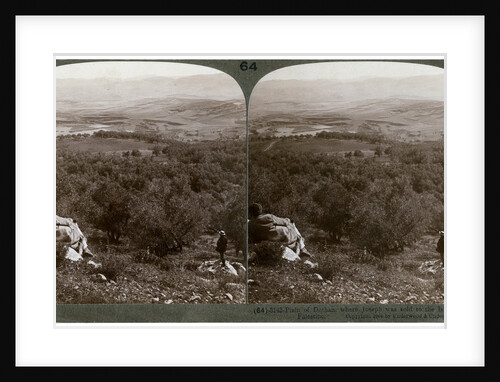 The plain of Dothan, Palestine by Underwood & Underwood