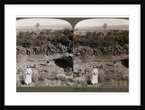 The north-west view from Shunem, across the Plain of Esdraelon, towards Carmel by Underwood & Underwood