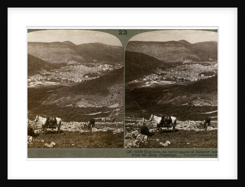 Shechem, south-west from Mount Ebal, Palestine by Underwood & Underwood