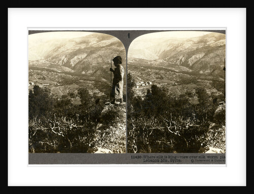 A silkworm plantation in the Lebanon mountains, Syria by Underwood & Underwood