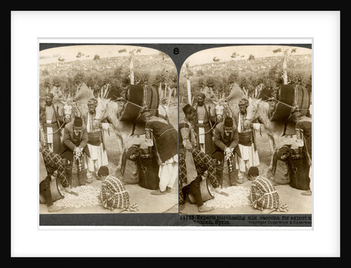 Experts purchasing silk cocoons, for export to France, Antioch, Syria by Underwood & Underwood