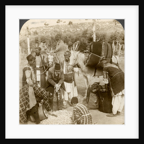 Experts purchasing silk cocoons, for export to France, Antioch, Syria by Underwood & Underwood