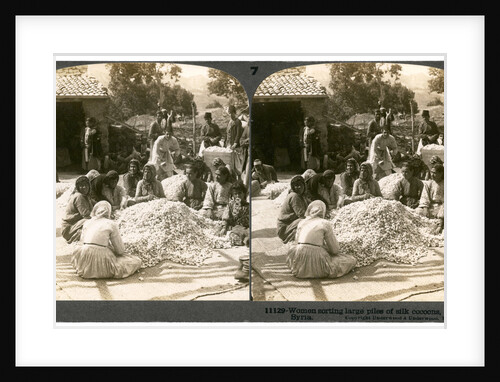 Women sorting large piles of silk cocoons, Antioch, Syria by Underwood & Underwood