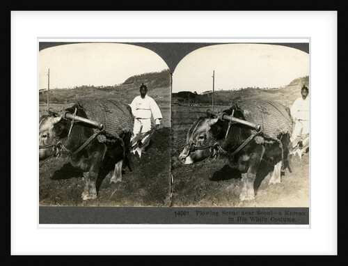 Farming near Seoul, South Korea by Keystone View Company