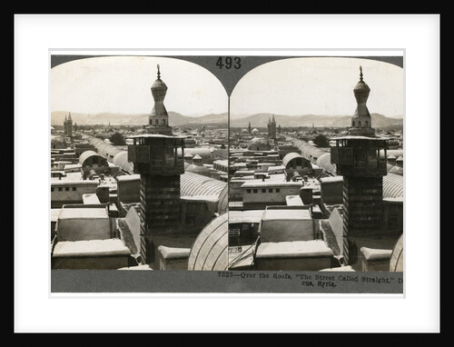 Damascus, Syria by Keystone View Company