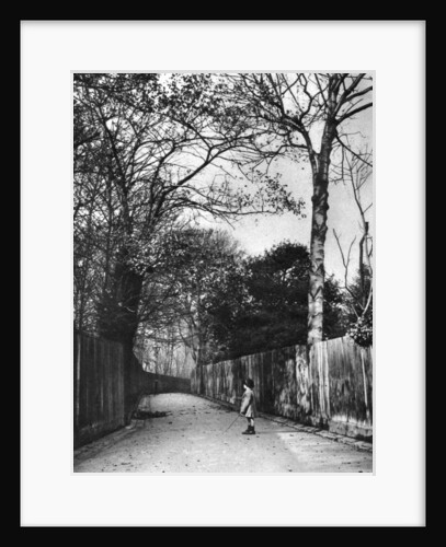 Autumn time in Holland Walk, London by McLeish