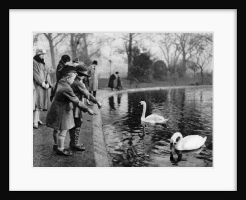 Children feeding the swans on the Serpentine, London by Anonymous