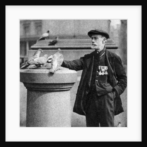 An old soldier with some pigeons, Trafalgar Square, London by McLeish