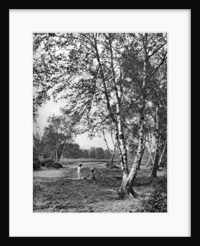 Putney Heath, London by McLeish