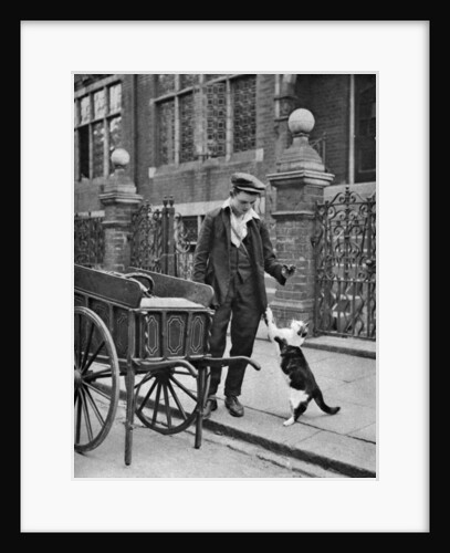 'Cat's meat man',  London by McLeish