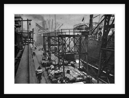 Merchant ships in the Royal Albert Dock, London by Anonymous