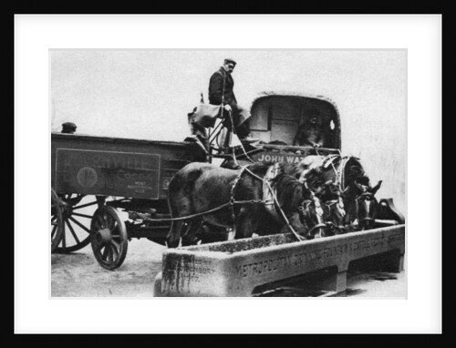 Horses drinking from a cattle trough, London by Anonymous