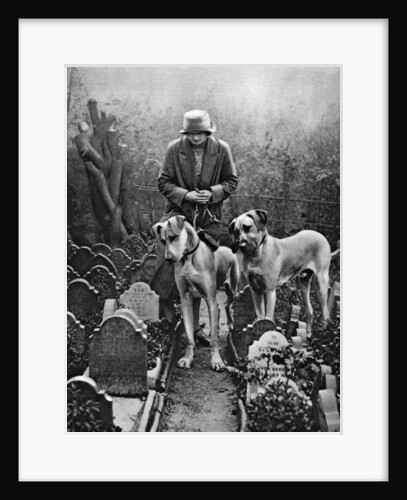 Dog cemetery, Victoria Gate, Bayswater, London by Anonymous
