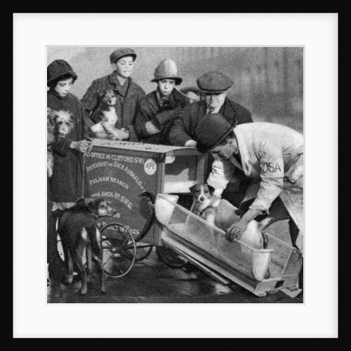 Ambulance of the Dispensary for Sick Animals of the Poor, London by Anonymous