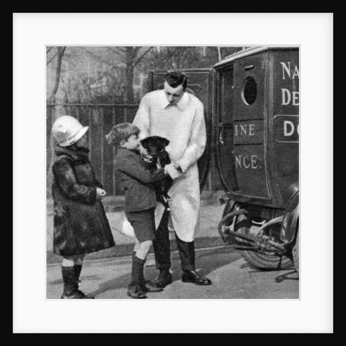 Ambulance of the National Canine Defence League, London by Anonymous