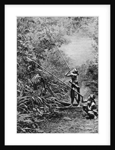 Kenyah men hunting for monkeys with blowpipes, Borneo by Dr Charles Hose