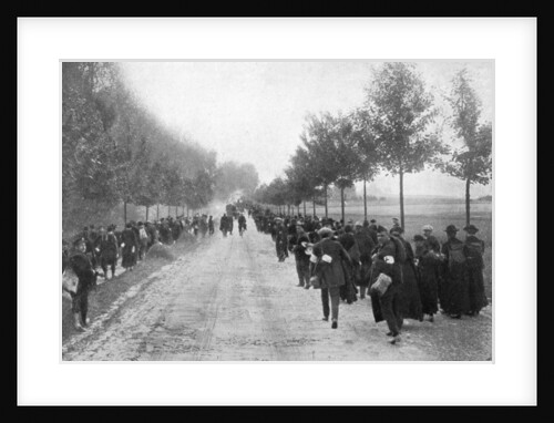 Belgians fleeing from Termonde, First World War by Anonymous