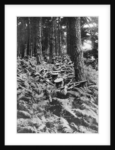 British infantry in a wood, First World War by Anonymous
