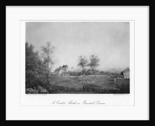A cricket match on Bansted Downs, Surrey by Anonymous