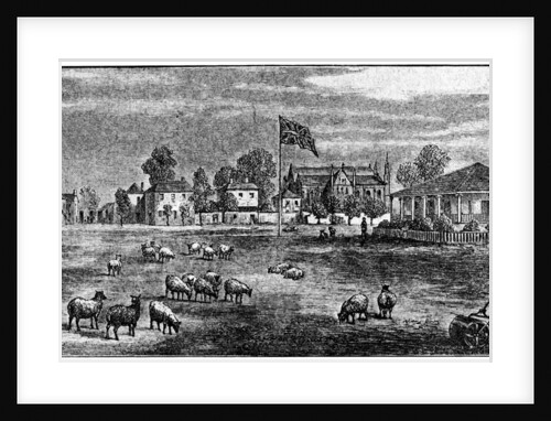 Lord's cricket ground, London by Anonymous