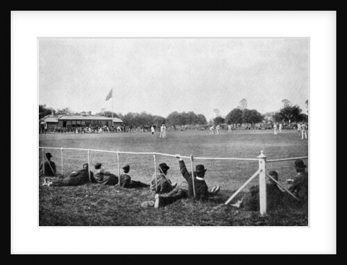 The Phoenix Park cricket ground, Dublin by D'Arcy