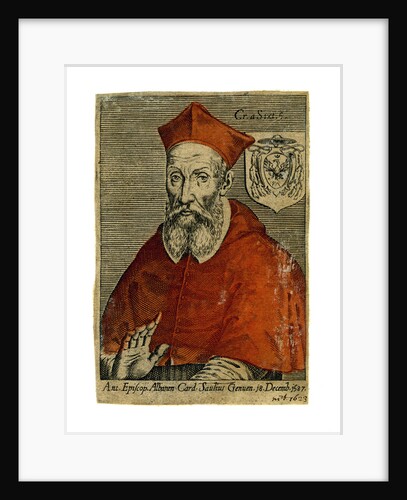 A cardinal by Anonymous