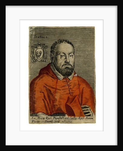 A cardinal by Anonymous