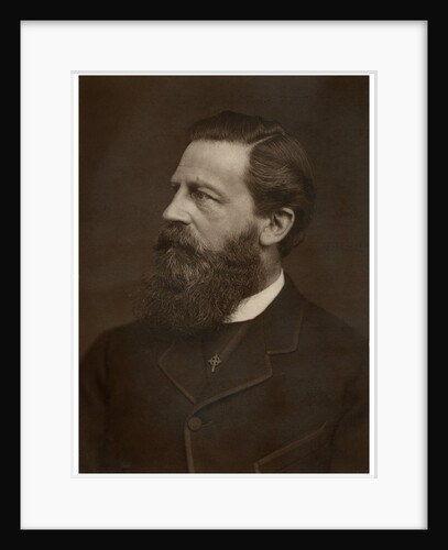 Portrait of a bearded man by Anonymous