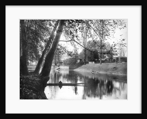 Chinar Bagh in the autumn, Kashmir, India by F Bremner