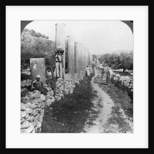 Herod's street of columns, Samaria, Palestine (Israel) by Underwood & Underwood