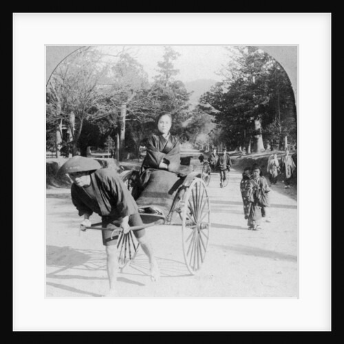 Taking a spin through the park at Nara, Japan by Anonymous