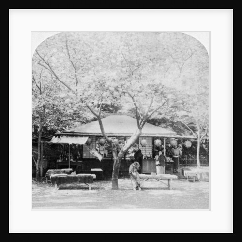 In the heart of the flower kingdom, Nara, Japan by Underwood & Underwood