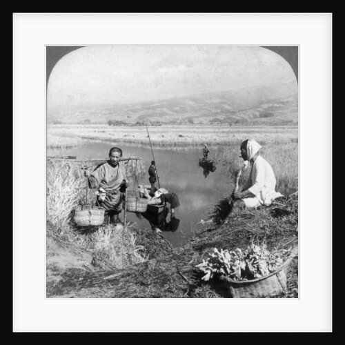 Men gathering rushes near Suzukawa, Fujiyama, Japan by Underwood & Underwood