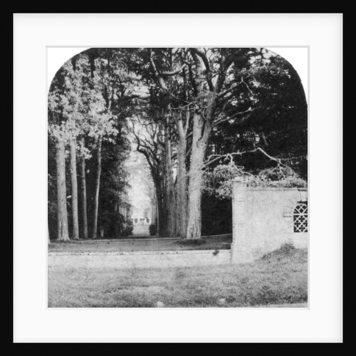 The Avenue, Guy's Cliff, Warwick by Anonymous