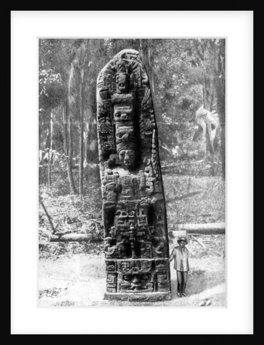 A mystery monolith in the primeval forest of Quirigua, Guatemala by Alfred P Maudsley