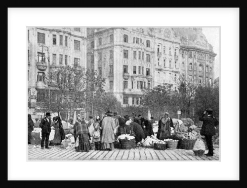 Great market of flowers, Budapest, Hungary by AW Cutler