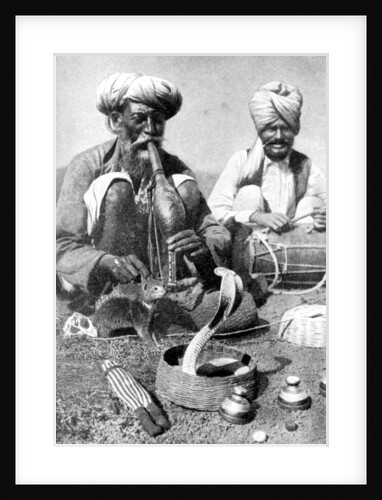 Charming the venom from a cobra; a snake charmer with a mongoose, India by JH Powell