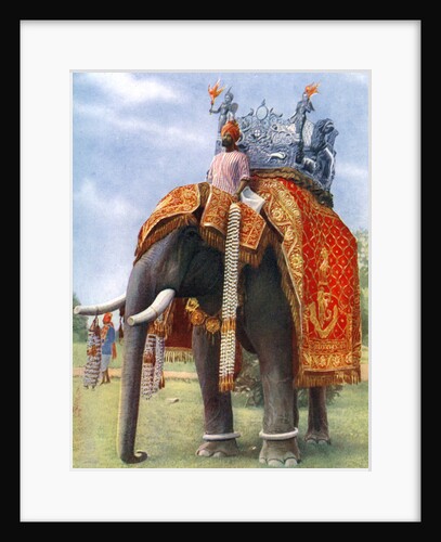 A majestic elephant at Bengal's chief festive gathering, India by L Barber