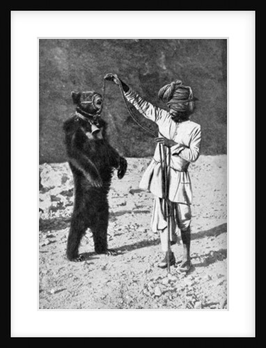 A Punjabi native with a dancing bear, India by Robert Chisham