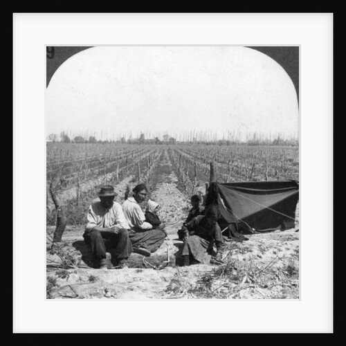 An Italian settler and his family, Mendoza, Argentina by Anonymous
