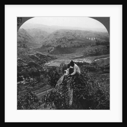 Java, Indonesia by Anonymous