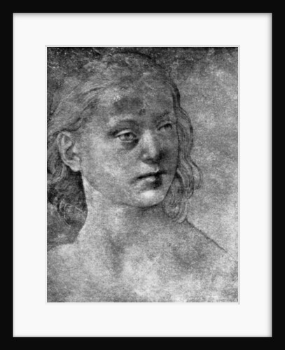 The head of a young woman by Lorenzo di Credi